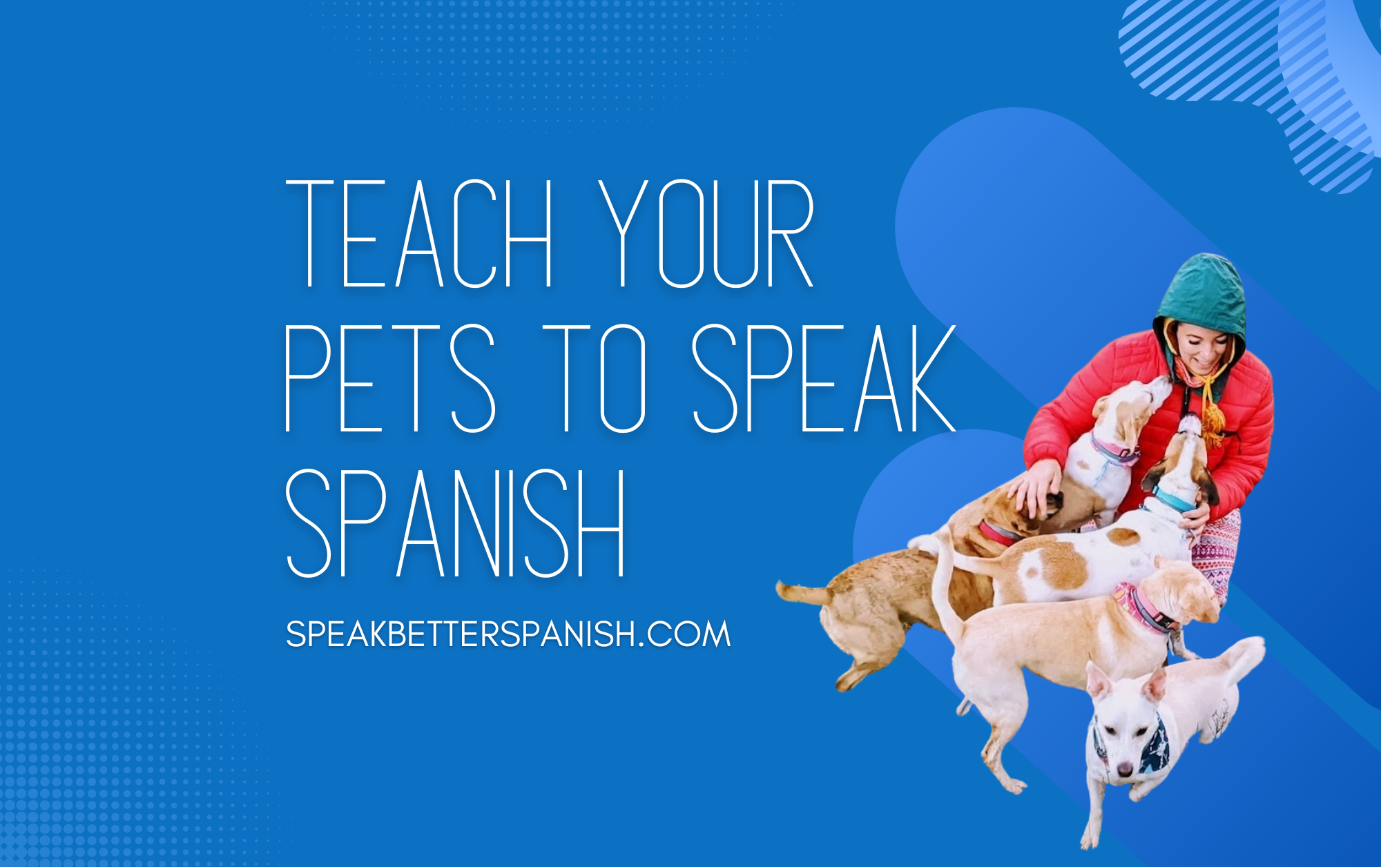 how-to-teach-your-dog-to-speak-spanish-speak-better-spanish