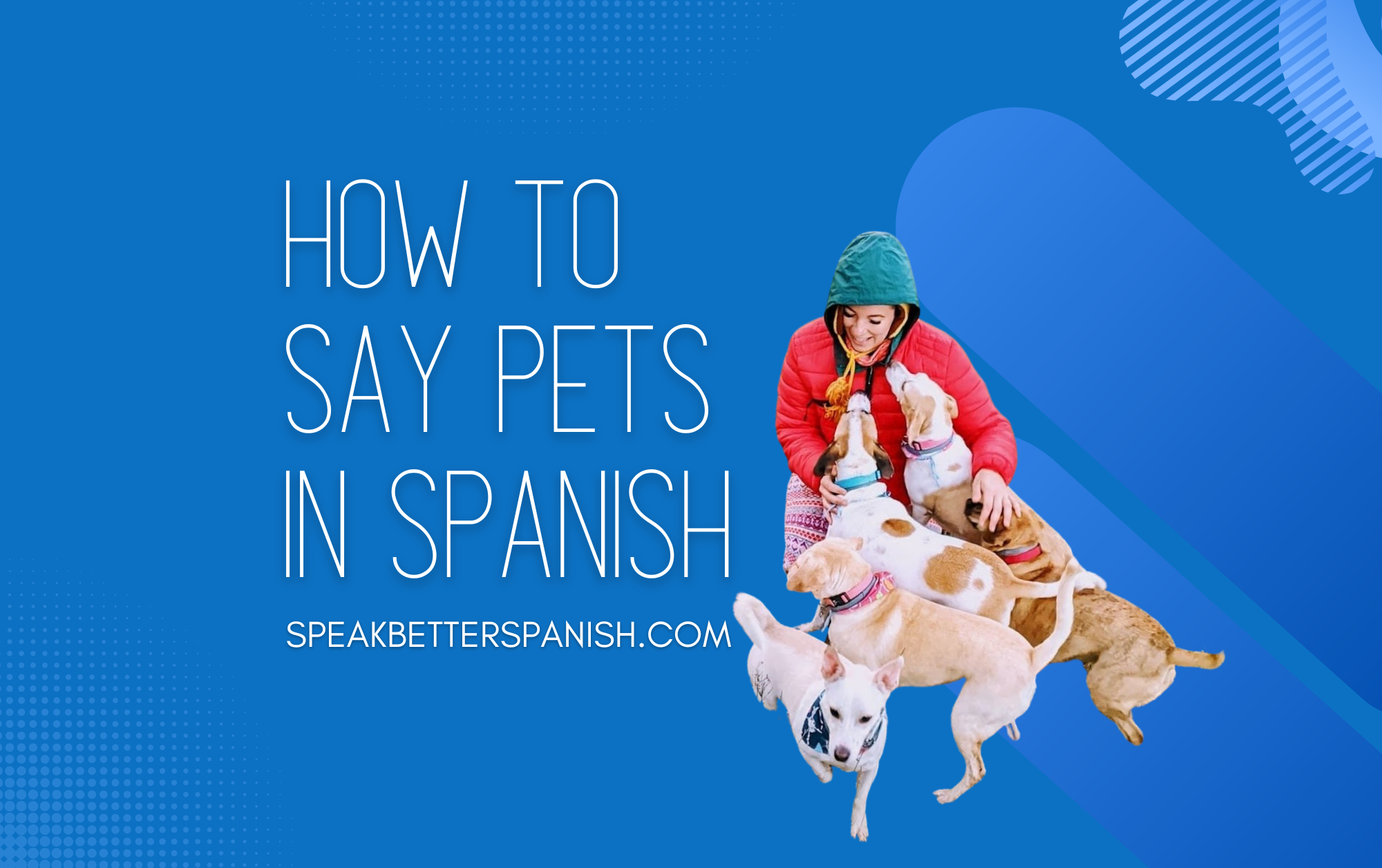 Cute Spanish Names For Pets