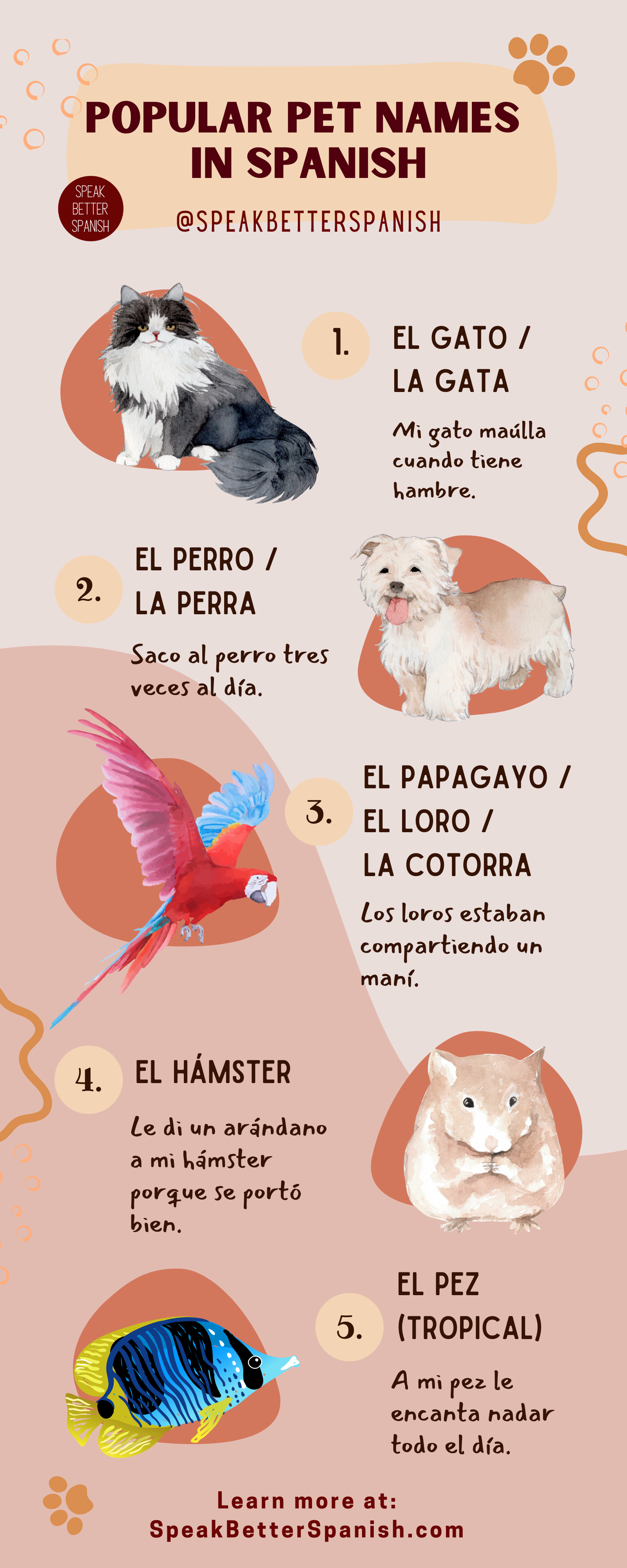Popular Pets In Spanish 1 